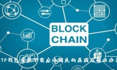  TP钱包重新下载后币消失的原因及解决办法