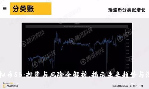 虚拟币SB：投资与风险全解析，揭示未来趋势与潜力