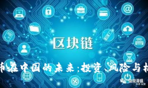: 虚拟币在中国的未来：投资、风险与机遇分析