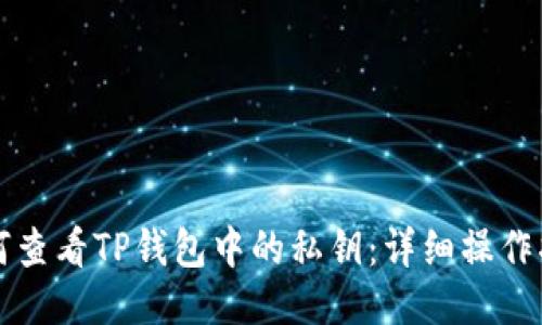 如何查看TP钱包中的私钥：详细操作指南