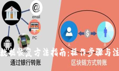 TP钱包数据恢复方法指南：操作步骤与注意事项
