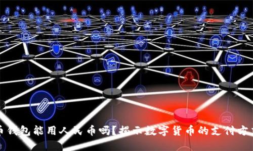 虚拟货币钱包能用人民币吗？揭示数字货币的支付方式与现状