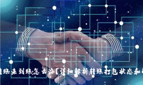 TP钱包转账未到账怎么办？详细解析转账打包状态和解决方案