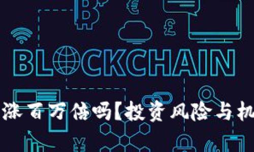 虚拟币一年能涨百万倍吗？投资风险与机会的深度分析