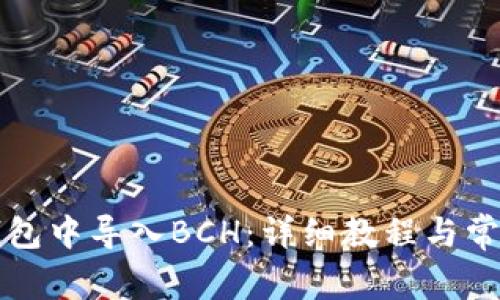 如何在TP钱包中导入BCH：详细教程与常见问题解答