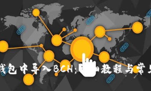 如何在TP钱包中导入BCH：详细教程与常见问题解答